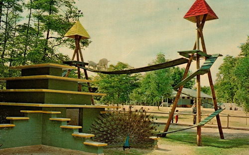 Deer Forest - Old Postcard (newer photo)